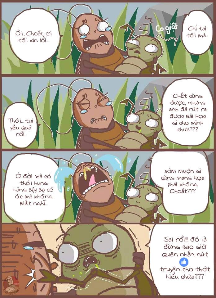 Trang 22